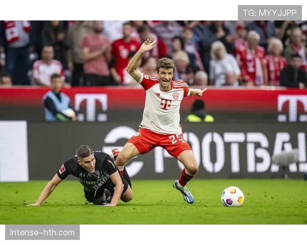 维尔茨技术特点解析