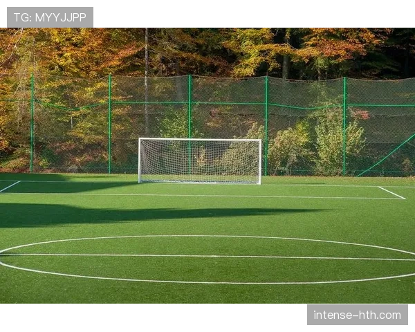 规则拆解型:职业足球比赛对草坪场地有哪些硬性要求? 规则拆解型:职业足球比赛对草坪场地有哪些硬性要求?